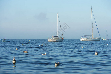 海鸥和小船在海滩上图片
