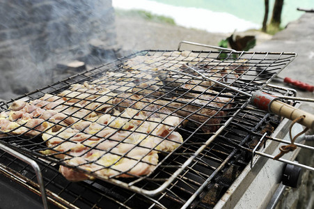 在烤肉架上烤的肉晚餐野派对概念烤食物背景背景中的森图片