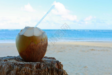 棕榈新鲜椰子在沙滩上图片