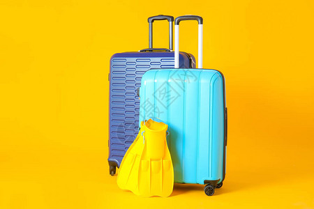 彩色背景上的打包行李箱和桨旅游概念图片