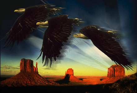 三只黑秃鹰在梦幻般的环境下飞背景图片