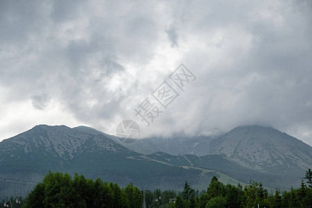 云雾缭绕的山峦和森林的壮丽景色图片