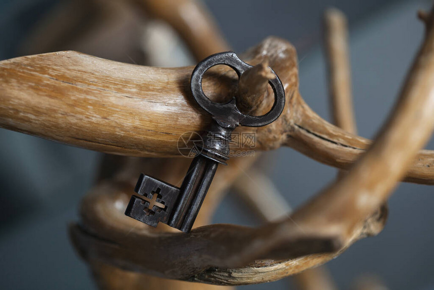 一把漂亮的复古钥匙挂在一棵装饰树的枝上图片