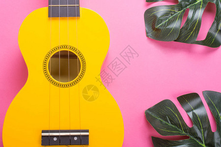 粉红色背景中亮黄色尤克里吉他和龟背竹叶的主体图片