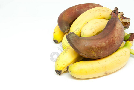 各种香蕉婴儿香蕉和白种红香蕉图片