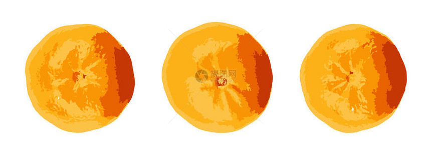 橘子是一种橙色的柑橘水果图片