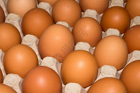 鸡蛋是肉鸡蛋鸡蛋的背景图片