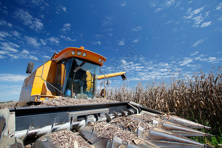 巴西农村的玉米收成由机器制成图片