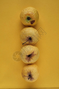 黄色背景的成熟黄色苹果行图片