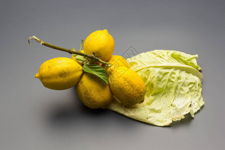 柠檬树的果实是黄皮的柠檬图片