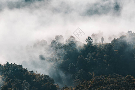 在山的美丽的夏天风景与日落图片