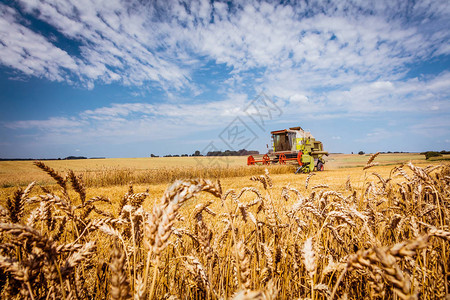 农田收割用农业机械图片