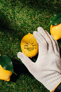 戴手套将柠檬装上图画脸的图片