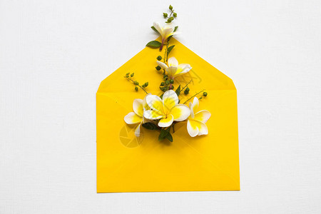 黄色花朵frangipani当地亚西安排的植物平铺在黄色图片