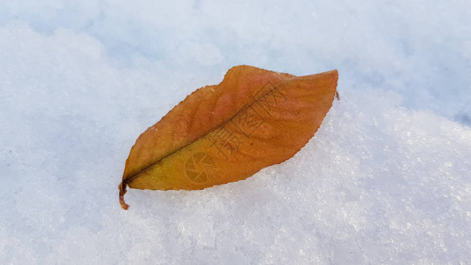 冬天积雪的地面图片