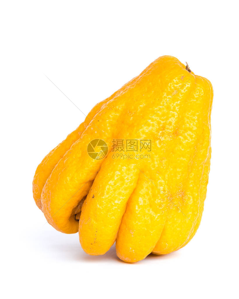 一种成熟的手果或手指香橼果柑橘药材图片