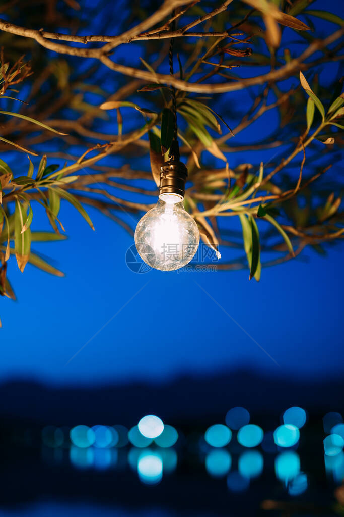 在树下过夜带灯高品质照片图片