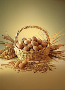 鸡蛋和小麦图片