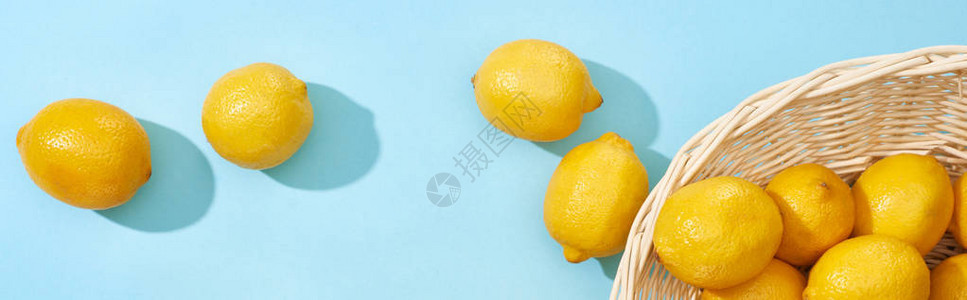 蓝色背景全景镜头的黄色柠檬从图片