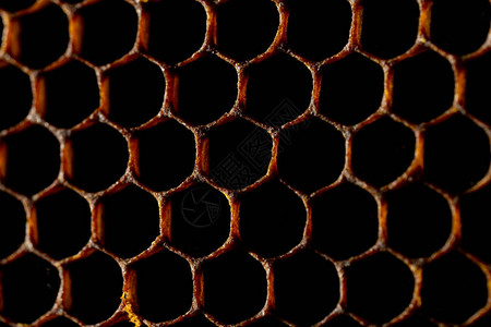 蜂窝纹理尚未从蜂窝中提取的甜花蜜深金色调的蜂窝背景蜂窝的微距拍图片