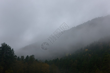 清晨山间浓雾图片