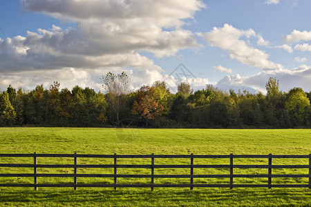 篱笆后面的一片绿地树木和蓬松的云朵图片