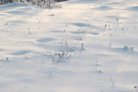 冬天白雪覆盖的领域图片