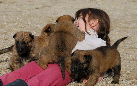 小女孩和她的四只小狗图片