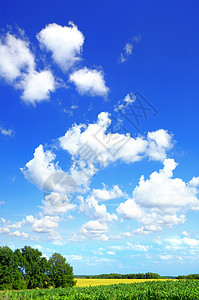 农田和天空夏天风景图片