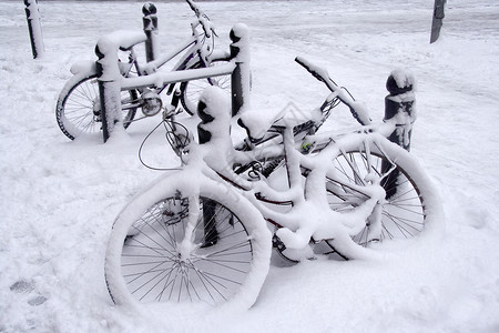 下大雪使这些周期变图片