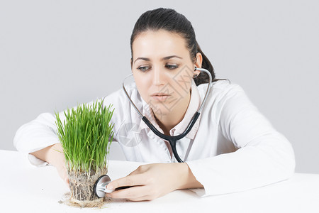 女医生用听诊器检查绿色植物图片