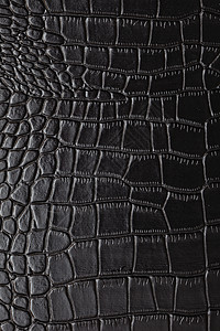 黑色鳄鱼皮背景图片