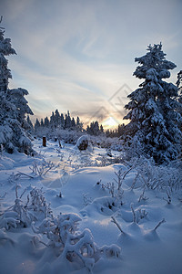 德国哈兹山脉冬季图片