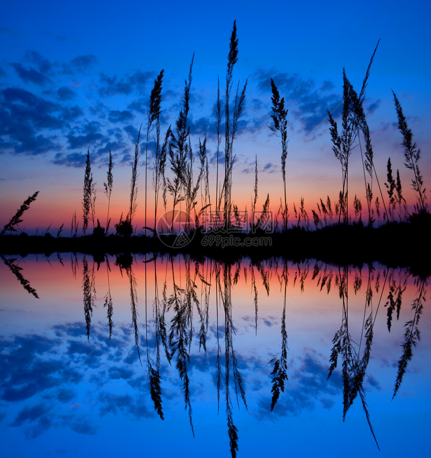 在湿地的五颜六色的日落图片