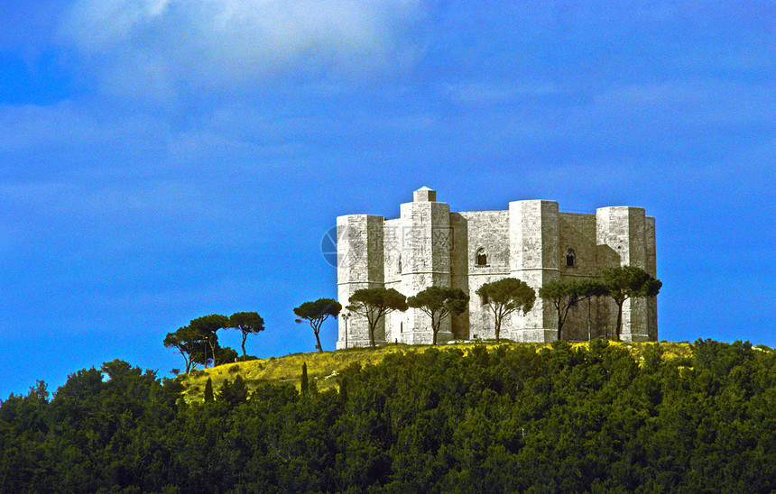 CasteldelMonte图片