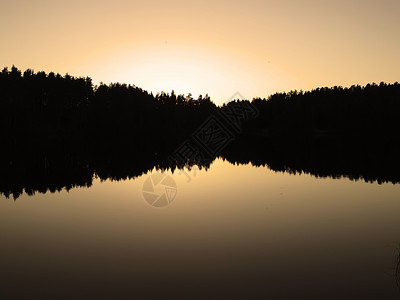 棕褐色的野生森林湖图片