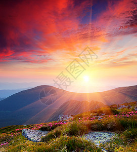 在山的夏天风景与太阳图片