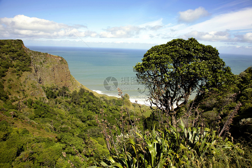 新西兰拉格伦海岸线图片