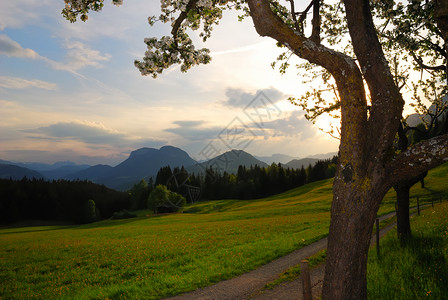 奥地利阿尔卑斯山的日落图片