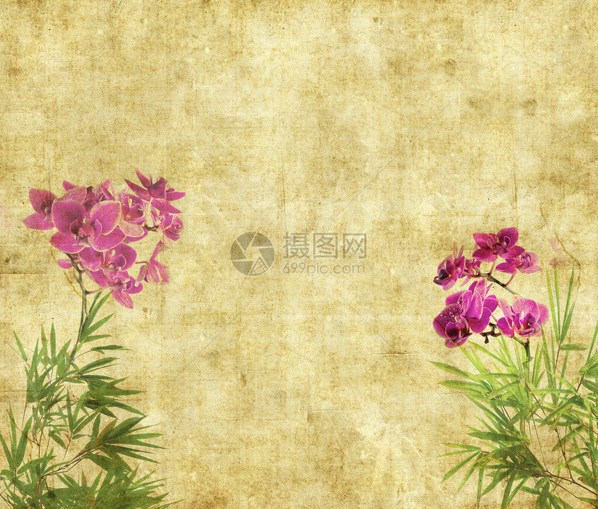 兰花与旧grunge仿古纸纹理上的竹叶图片