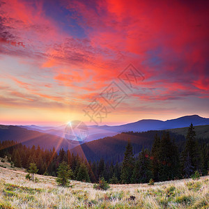 在山的夏天风景与太阳图片