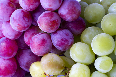 红葡萄和白葡萄图片