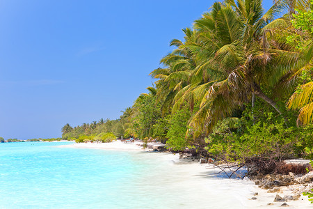 海岛马尔代夫图片