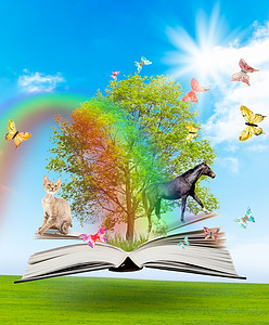 莱罗书店有绿色树的魔法书和自然背景上的异种动物知识的象征物背景