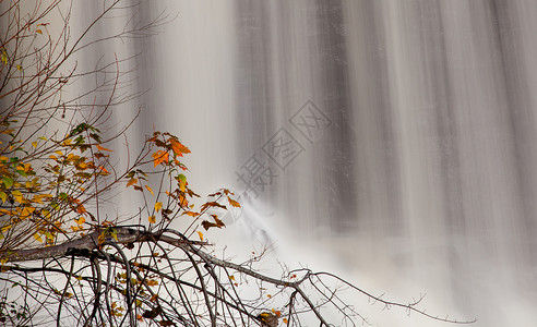 秋天黑水瀑布在西弗吉尼亚州以图片