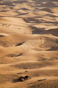 撒哈拉沙背景图片