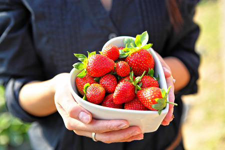 心形碗草莓图片