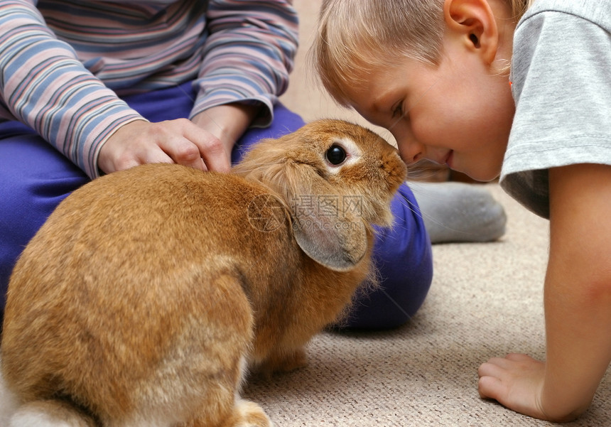 男孩和兔子玩耍图片