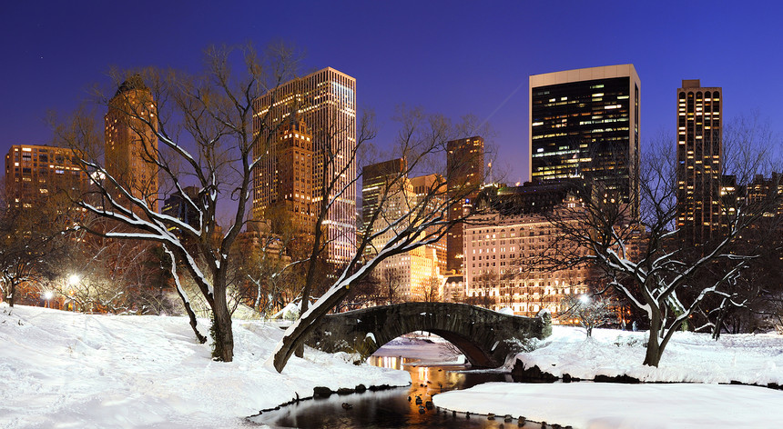 纽约市曼哈顿中央公园冬季全景图片