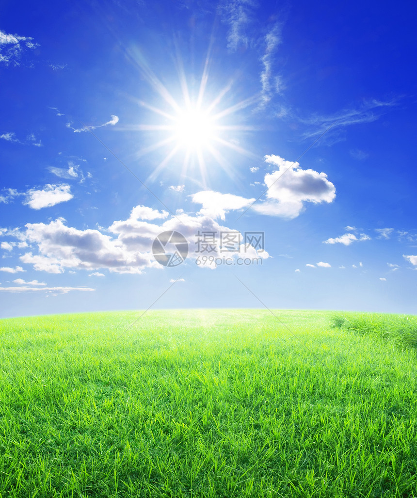 草太阳和蓝天图片